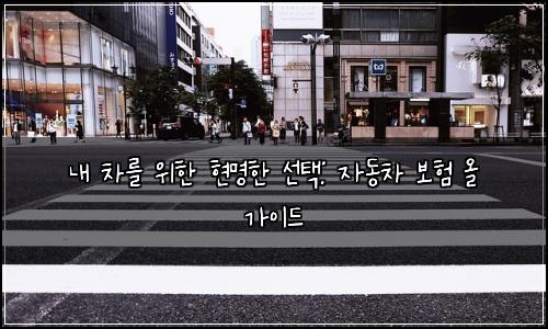  내 차를 위한 현명한 선택: 자동차 보험 올 가이드