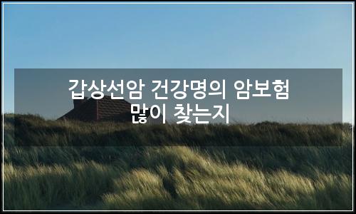 오늘의 이미지