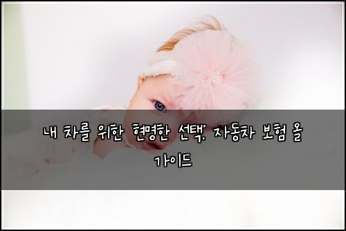  내 차를 위한 현명한 선택: 자동차 보험 올 가이드