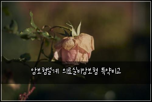 암보험설계 의료실비암보험 특약비교