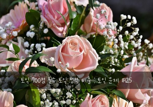 토익 700점 필수 토익 성적 제출 : 토익 문제 #125