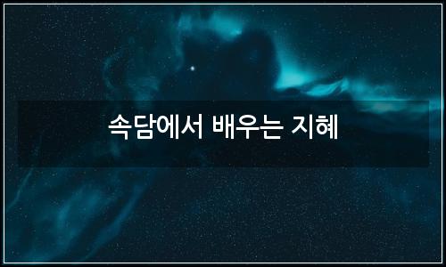 오늘의 이미지