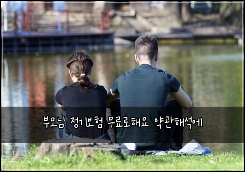 부모님 정기보험 무료로해요  약관해석에