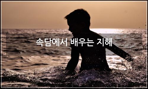 오늘의 이미지