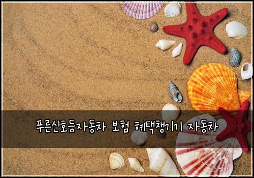 푸른신호등자동차 보험 혜택챙기기  자동차