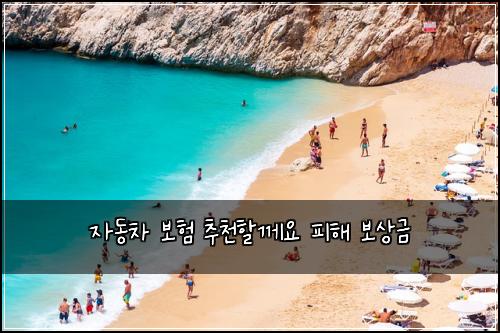 자동차 보험 추천할께요  피해 보상금