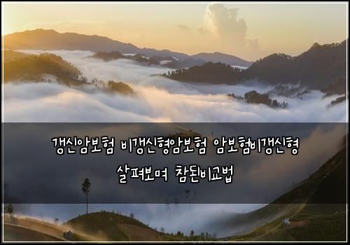 갱신암보험 비갱신형암보험 암보험비갱신형 살펴보며 참된비교법