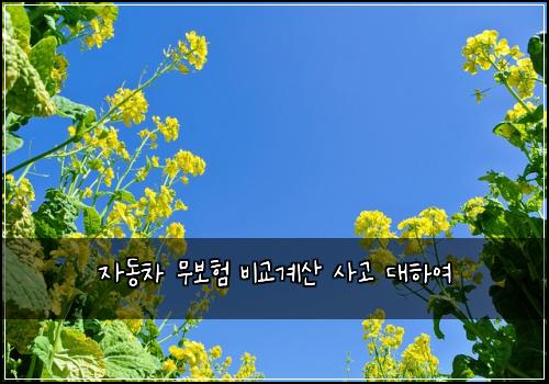 μλμ°¨ 무보ν λΉκ΅κ³μ° μ¬κ³ λνμ¬