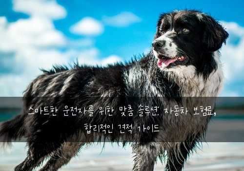  스마트한 운전자를 위한 맞춤 솔루션: 자동차 보험료, 합리적인 견적 가이드
