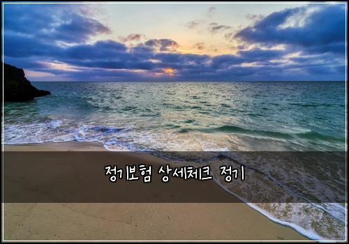 정기보험 상세체크  정기