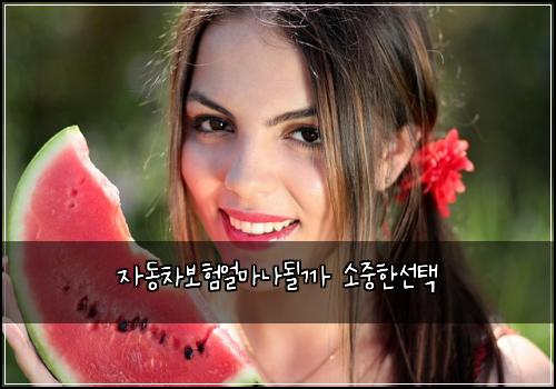 μλ차보νμΌλ§λλ κΉ μμ€νμ ν