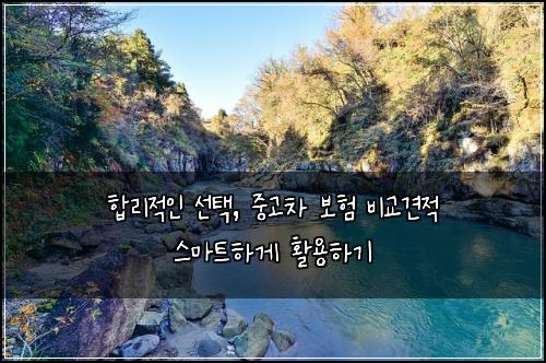  합리적인 선택, 중고차 보험 비교견적 스마트하게 활용하기