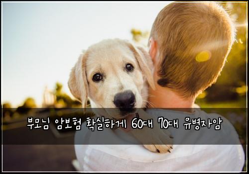 부모님 암보험 확실하게  60대 70대 유병자암