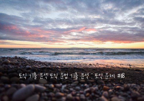 토익 기출 분석 토익 문법 기출 분석 : 토익 문제 #118