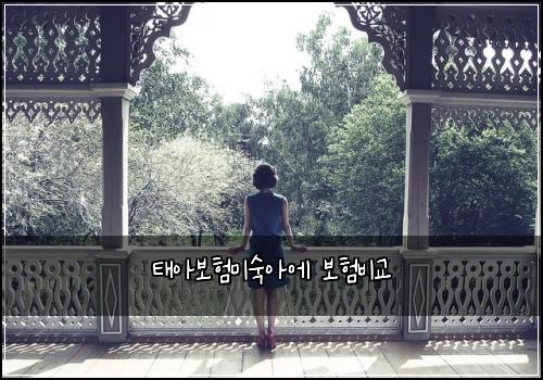 태아보험미숙아에 보험비교
