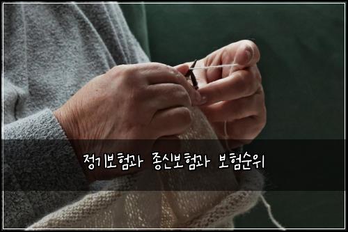 정기보험과 종신보험과 보험순위