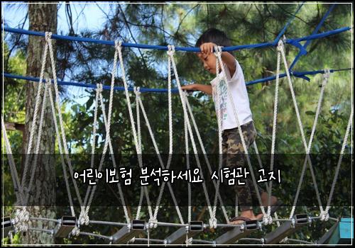 어린이보험 분석하세요  시험관 고지