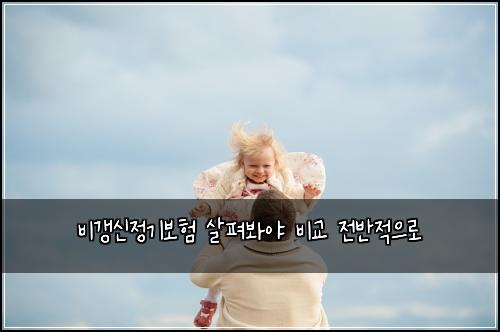 비갱신정기보험 살펴봐야  비교 전반적으로
