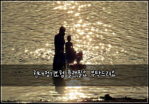 현대정기보험 플랜필요  부탁드려요