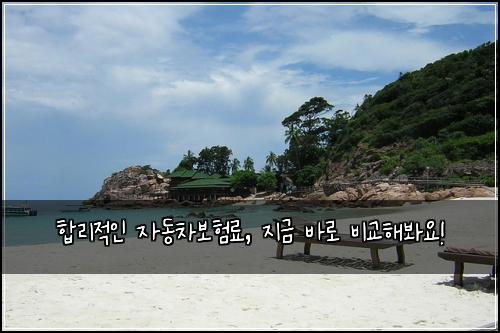 합리적인 자동차보험료, 지금 바로 비교해봐요!