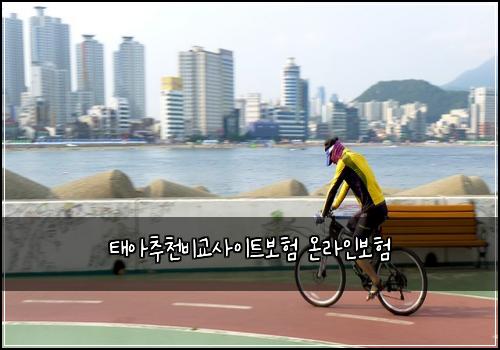 태아추천비교사이트보험 온라인보험 