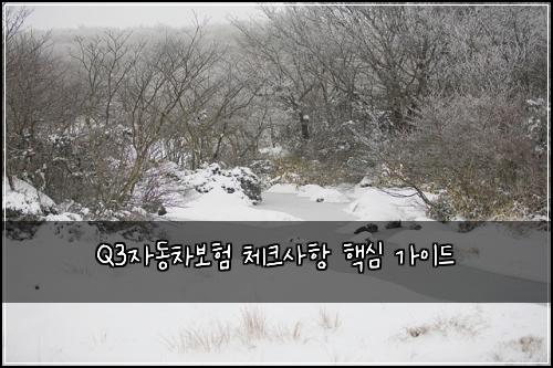 Q3자동차보험 체크사항 핵심 가이드