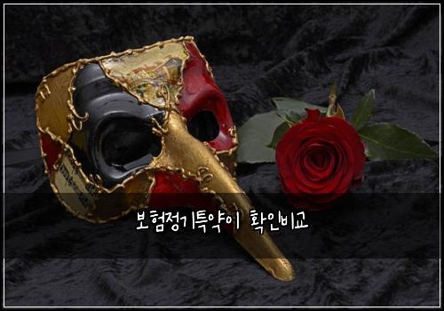 보험정기특약이 확인비교