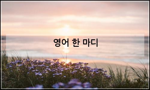 오늘의 이미지