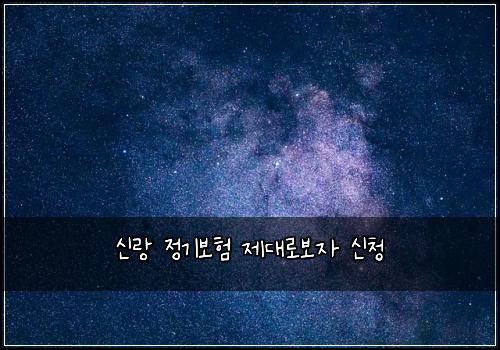 신랑 정기보험 제대로보자  신청