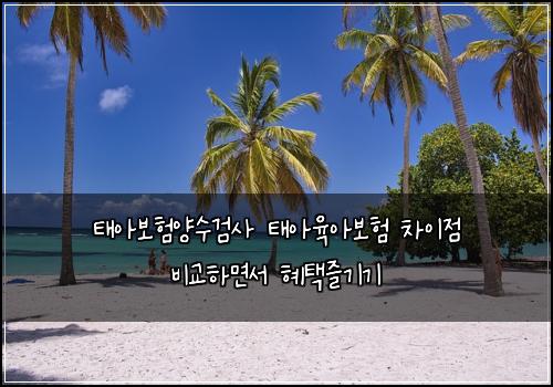태아보험양수검사 태아육아보험 차이점 비교하면서 혜택즐기기