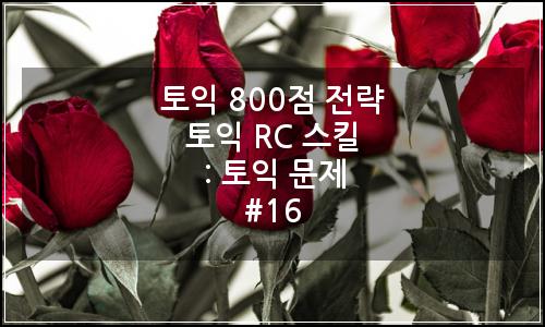 오늘의 이미지
