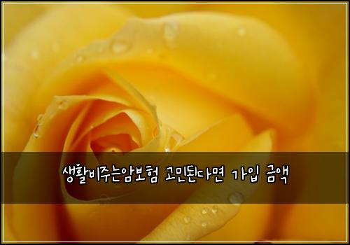 ์ํ๋น์ฃผ๋์๋ณดํ ๊ณ ๋ฏผ๋๋ค๋ฉด ๊ฐ์
๊ธ์ก