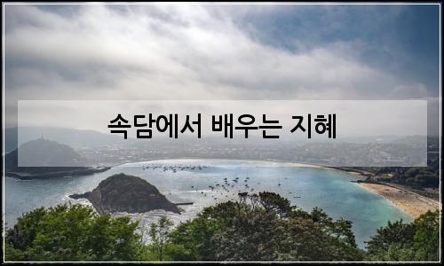 오늘의 이미지