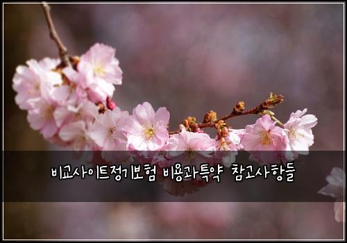 ๋น๊ต์ฌ์ดํธ์ ๊ธฐ๋ณดํ ๋น์ฉ๊ณผํน์ฝ ์ฐธ๊ณ ์ฌํญ๋ค