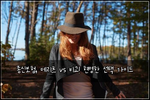  종신보험, 메리츠 vs 비교! 현명한 선택 가이드