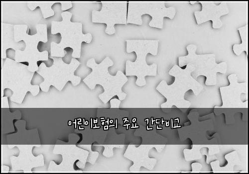어린이보험의 주요 간단비교