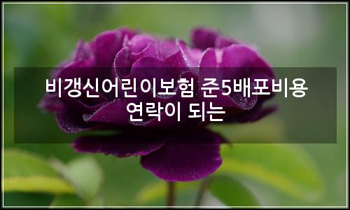 오늘의 이미지