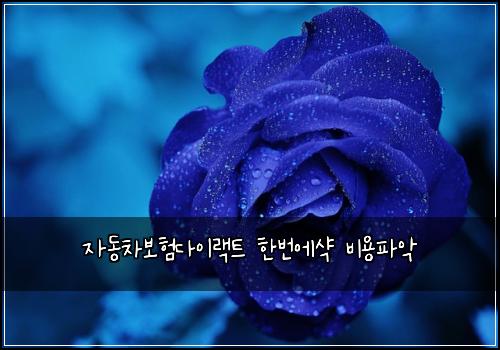 자동차보험다이랙트 한번에샥 비용파악