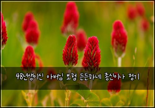 48년생이신 아버님 보험 든든하네  종신이나 정기