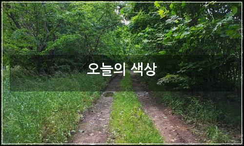 오늘의 이미지