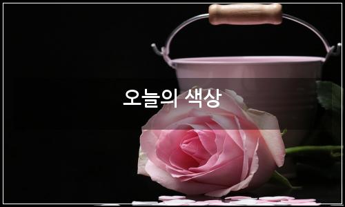 오늘의 이미지