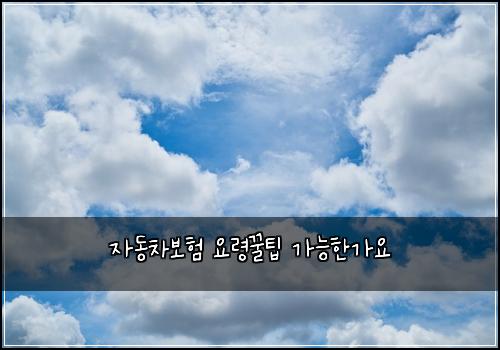 자동차보험 요령꿀팁  가능한가요