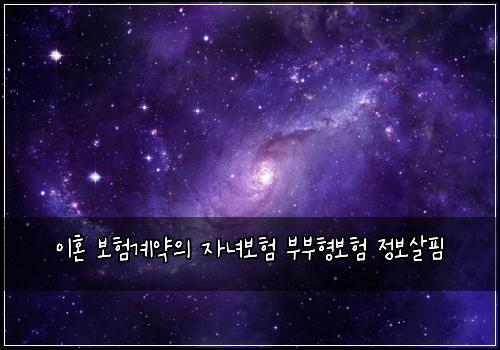 이혼 보험계약의 자녀보험 부부형보험 정보살핌