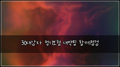 30대남자 정기보험 대박팁  함께점검