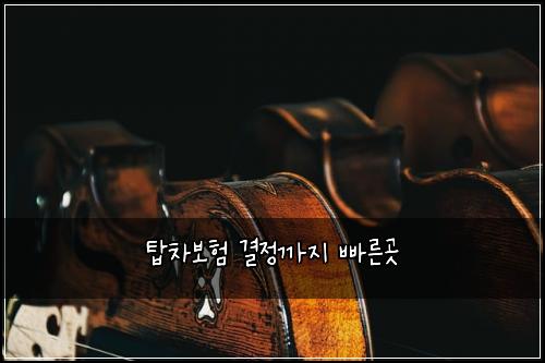 탑차보험 결정까지  빠른곳