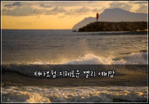 태아보험 지혜로운  빨리 예비맘