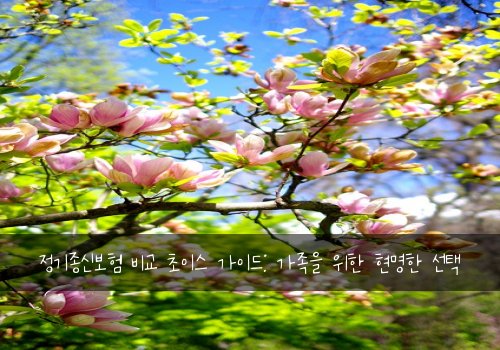 정기종신보험 비교 초이스 가이드: 가족을 위한 현명한 선택