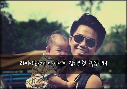 라이나화재 다이렉트 정기보험 핵심이해 