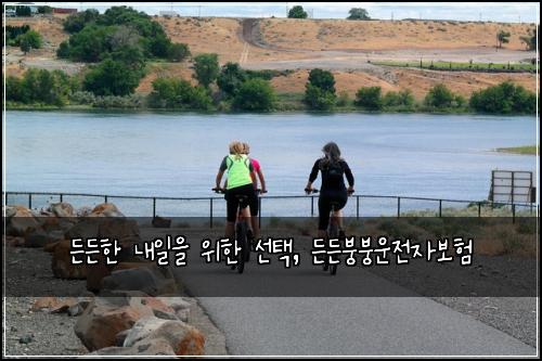  든든한 내일을 위한 선택, 든든붕붕운전자보험