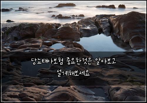 당뇨태아보험 중요한것은  알아보고 설계해보세요